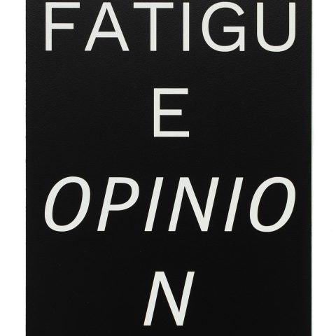 Fatigue Opinion
