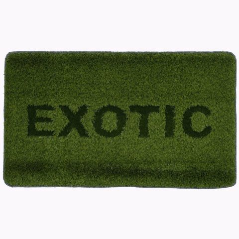 EXOTIC (from the Welcome Mats series)