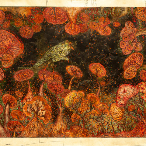 The Heavenly Garden