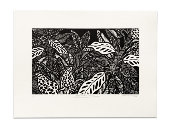 Fragments of Torino: Villa Sambuy gardens (study IV - state 2)