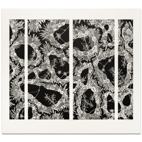 Interior Landscape 3