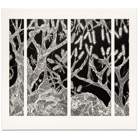 Interior Landscape 1