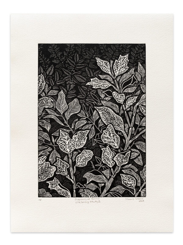 Fragments of Torino: villa sambuy gardens (study III)