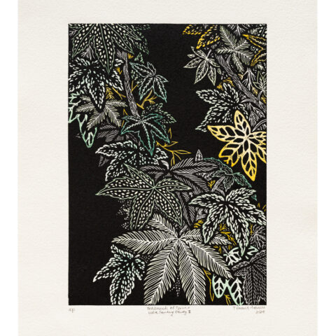 Fragments of Torino: villa sambuy gardens (study II)