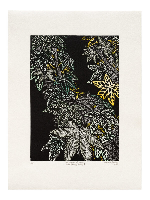 Fragments of Torino: villa sambuy gardens (study II)