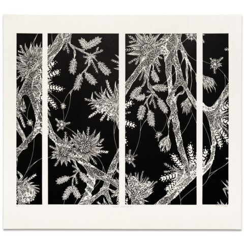 Interior Landscape 2