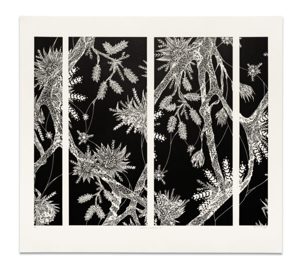 Interior Landscape 2