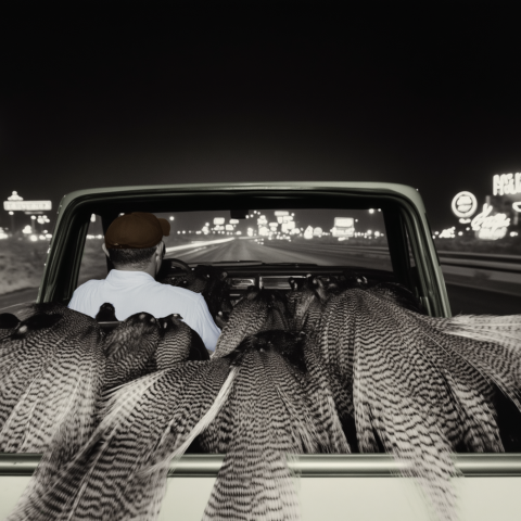 The Highway