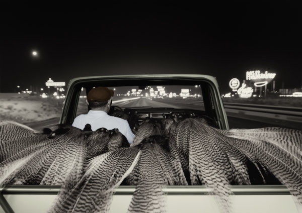 The Highway