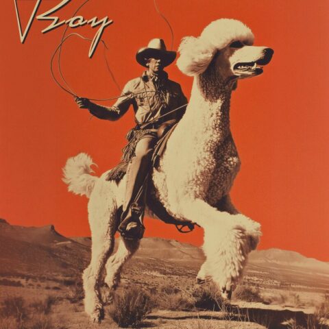 Poodle Boy Lives (Poodle Boy Poster)
