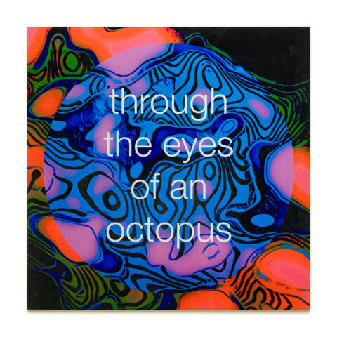 through the eyes of an octopus