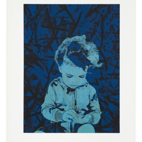 Atamai and the expanding multiverse