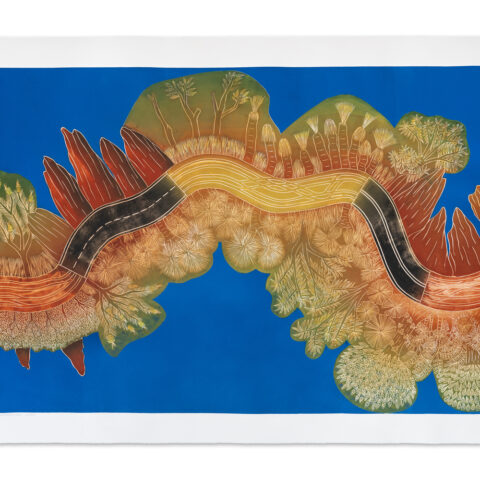 Cape York, Peninsula Development Road – Dusty Road (State IV)