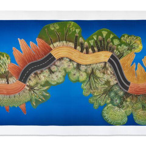 Cape York, Peninsula Development Road (State I)