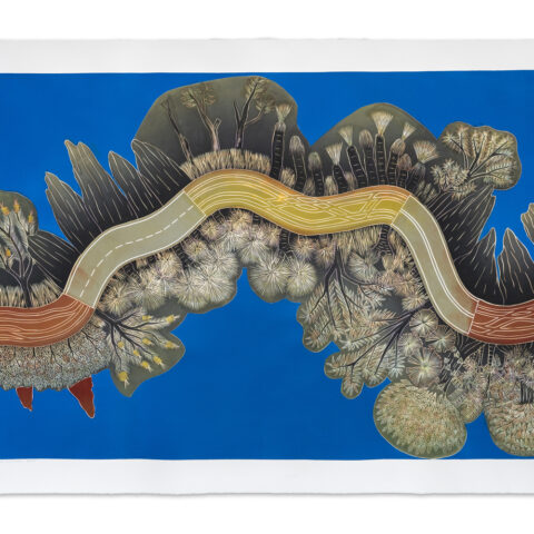 Cape York Peninsula Development Road – Burnt Country (State II)