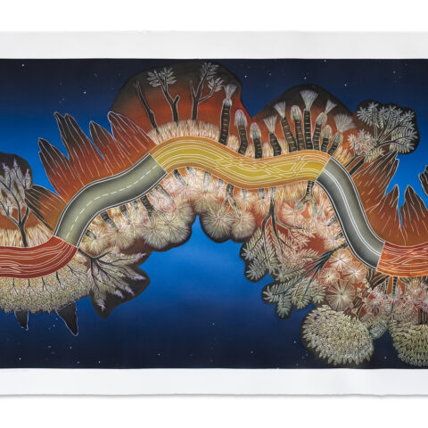 Cape York, Peninsula Development Road – Night Time Drive (State III)