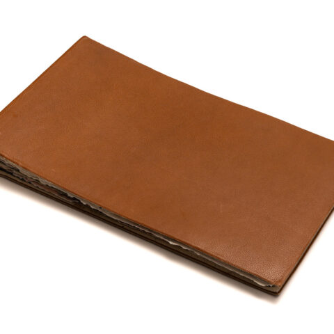 Tales from the In-Between