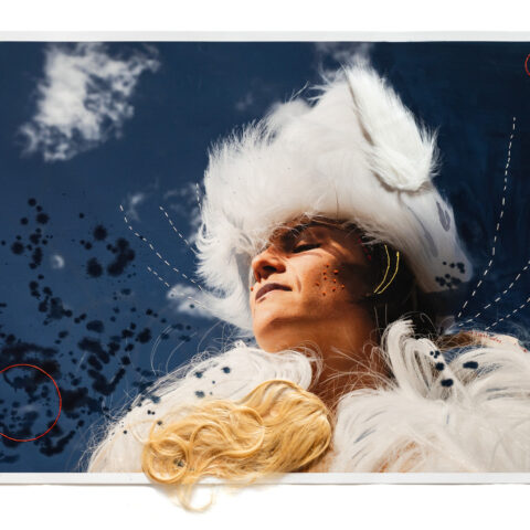 Rhizomes (Circulation)