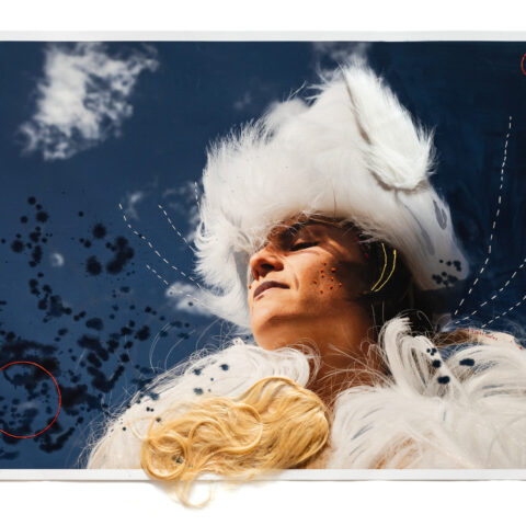 Rhizomes (Circulation)