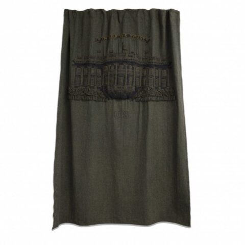 $20 (from the GREENBACK series)