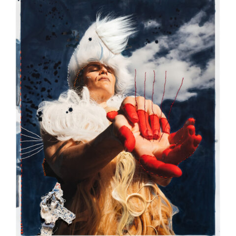 Rhizomes (Capillaries)