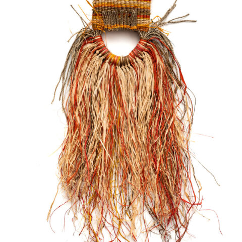 Thicky Shell Jellyfish VII