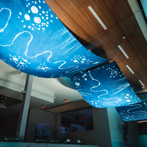 Sonja Carmichael, Elisa Jane Carmichael, Freja Carmichael, Wagari: Dabiyil, Biram – Vessel: water and sky