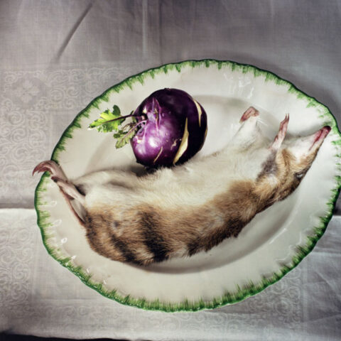 Bandicoot on Plate