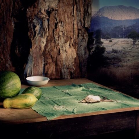 Bird with Trunk and Paw Paw