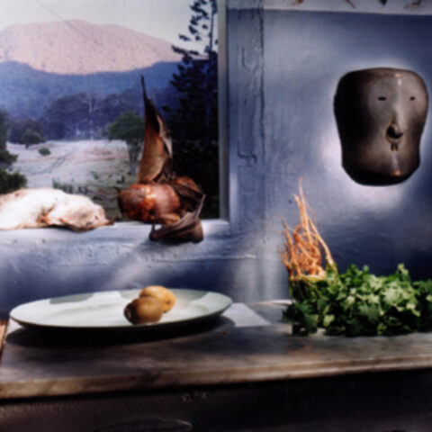 Kitchen View with Mask