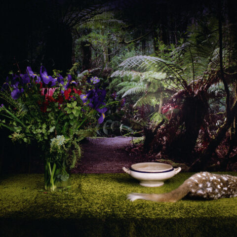 Quoll with Bowl and Flowers