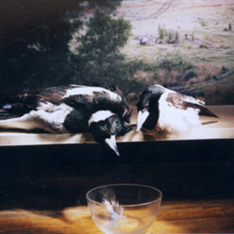 Magpie with Butcher and Bowl