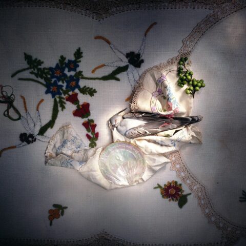 Crested Wood Pigeon with Mother of Peal Plate