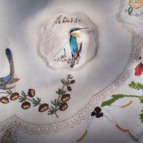 Kingfisher with Fancy Work