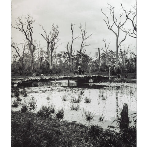 A Corduroy Brige 1890-2024