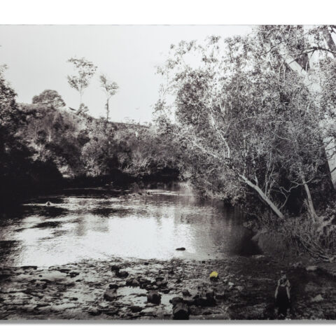 Maroochy River 1890-2024