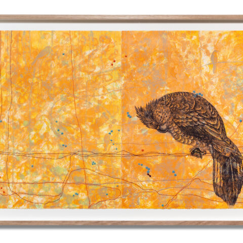 Anthraquinone Lichen II/III