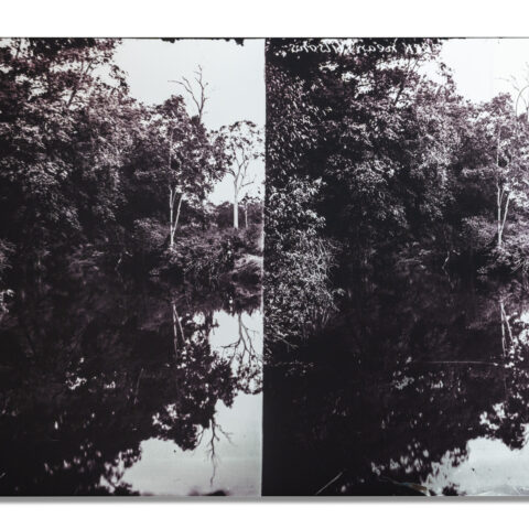 Enoggera Creek 1890-2024