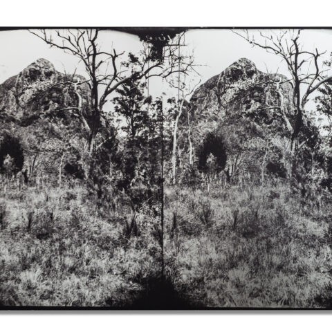 Tibrogargan 1890-2024