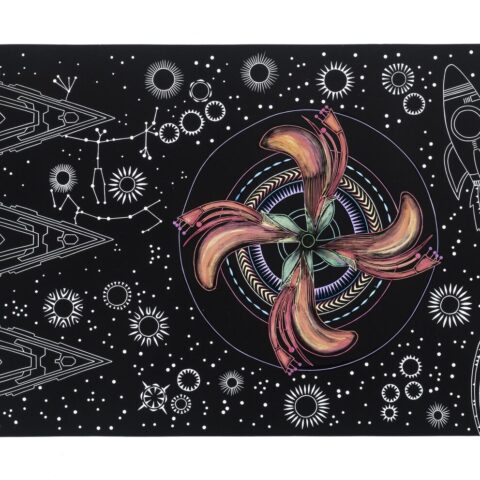 Abundance of Country: Batwing Coral