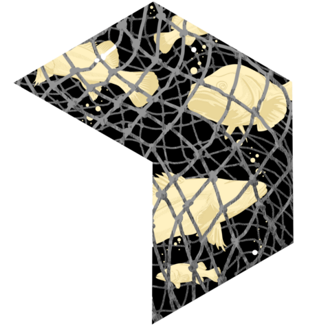 Fish Net