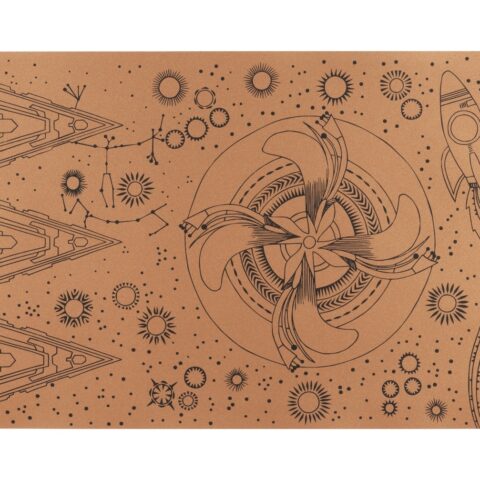 Abundance of Country: Batwing Coral (Bronze series)