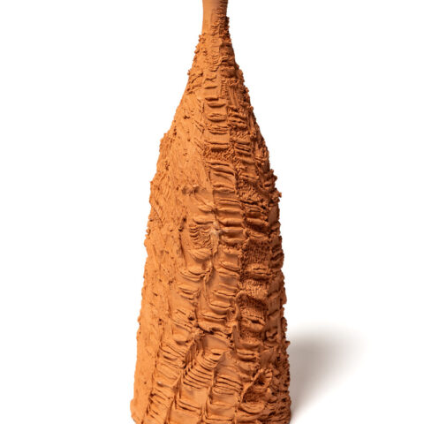 Shifting surface bottle 2
