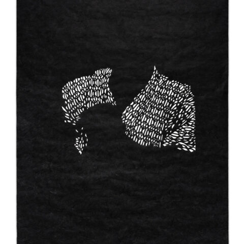 Patternal II